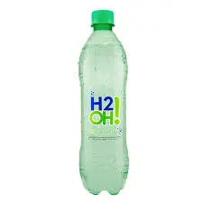 [0066] H2O